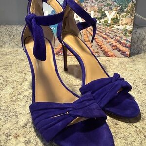 Banana Republic Royal Blue Heels